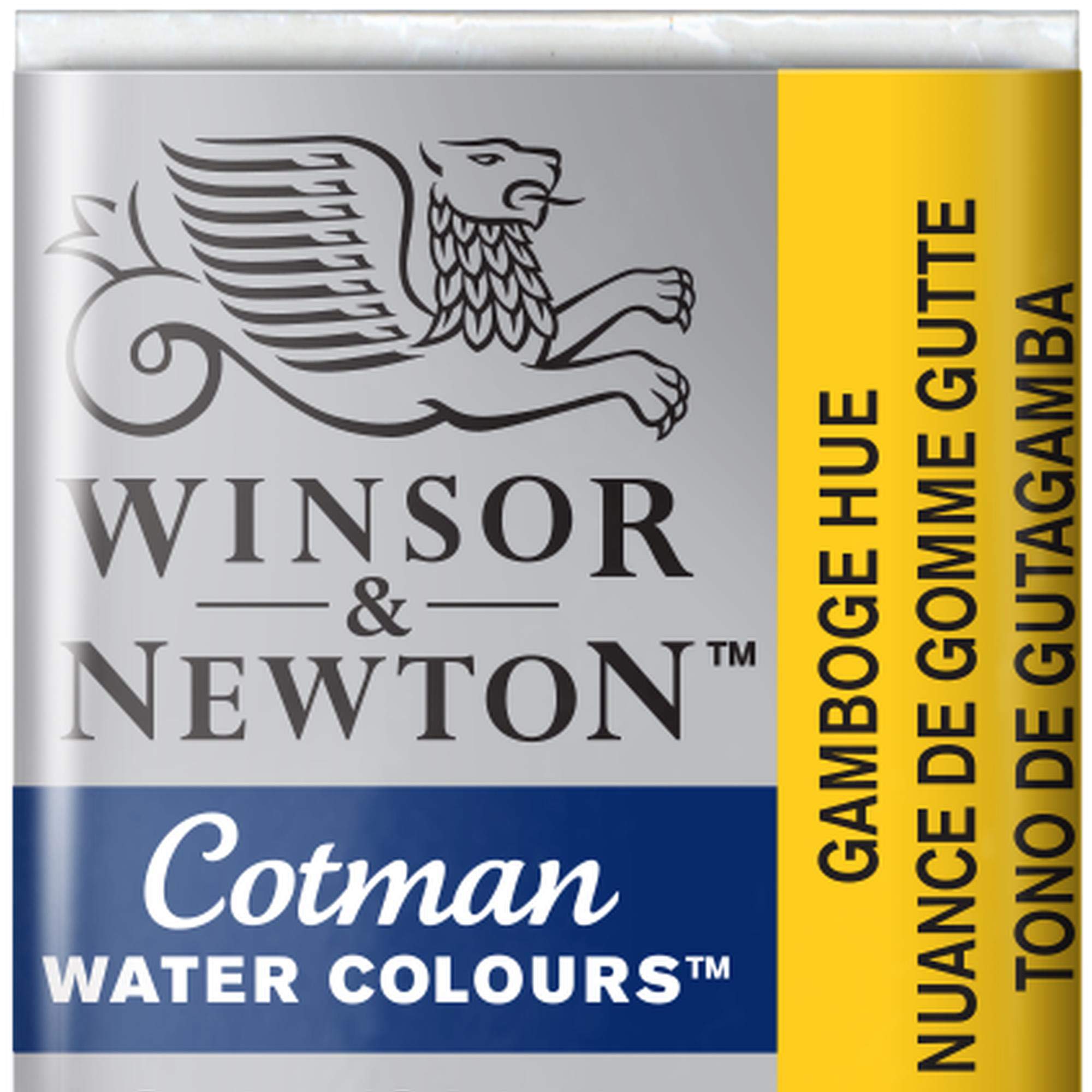 Winsor & Newton Cotman Watercolor Paint - Gamboge Hue Half Pan Set | Professional Artist Watercolors for Sketching, Painting & Mixed Media Art