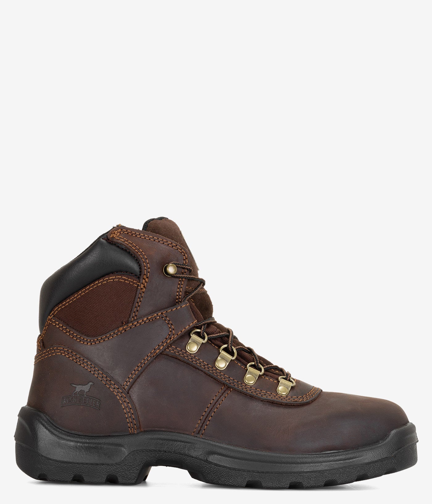 Irish Setter Ely 6
