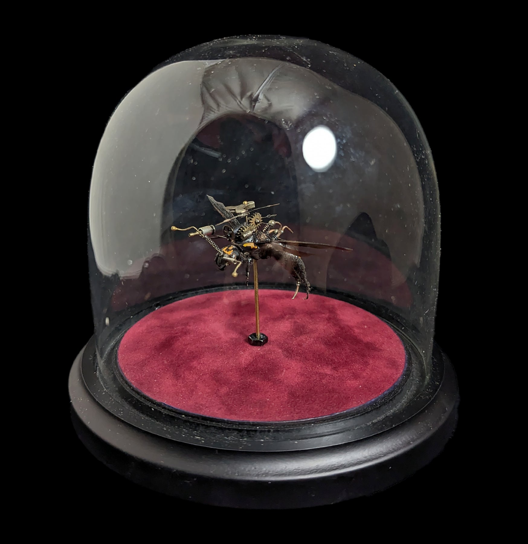 Clockwork Hymenoptera: Procer - Mechanical Insect Model Kit for STEM Education & Home Decor | Perfect for Science Projects, Collectors & Unique Gift Ideas