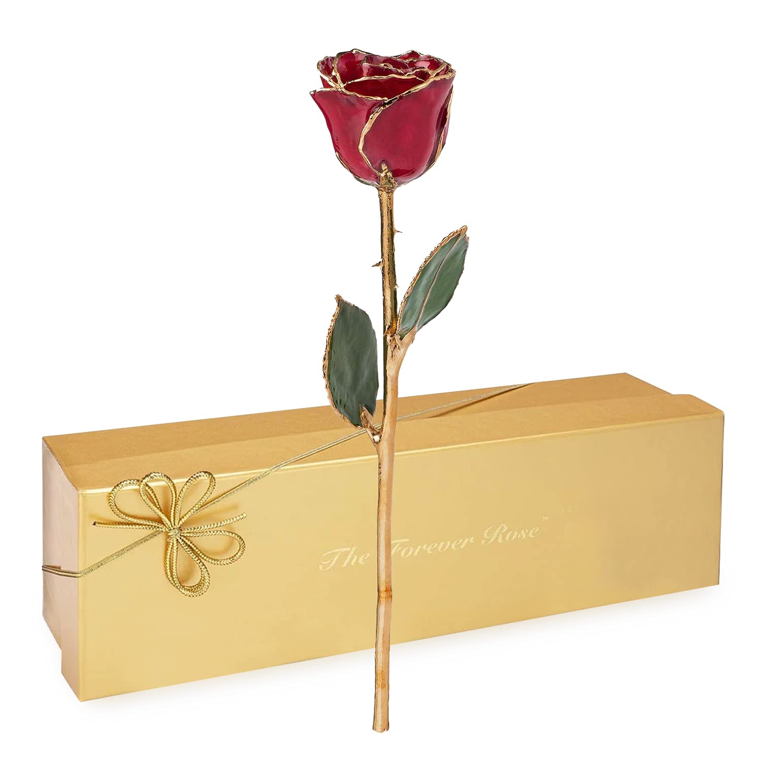 Forever Rose Real Deep Red Rose - Genuine Hand-Dipped in Lacquer with 24K Gold Trim | Luxury Home Decor, Wedding Centerpiece, Anniversary Gift, Valentine's Day Present