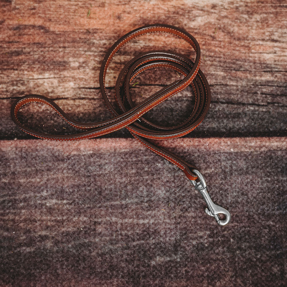Rover Padded Handle Dog Leash - Comfortable & Durable for Walking, Training, and Outdoor Adventures