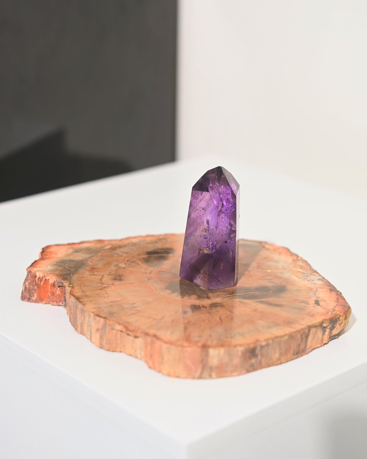 Natural Petrified Wood Slab - 5 Inch Polished Stone Display Piece for Home Decor, Office Desk, or Crystal Collection | Unique Geological Specimen & Fossilized Wood Gift