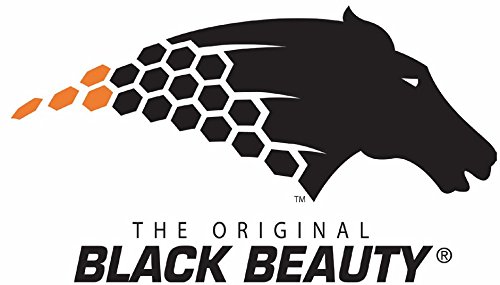 BLACK BEAUTY Abrasive Blast Media - 20/40 Mesh Size Fine Grit (75 LBS) for Sandblasting Cabinets | Ideal for Metal Cleaning, Rust Removal & Surface Preparation