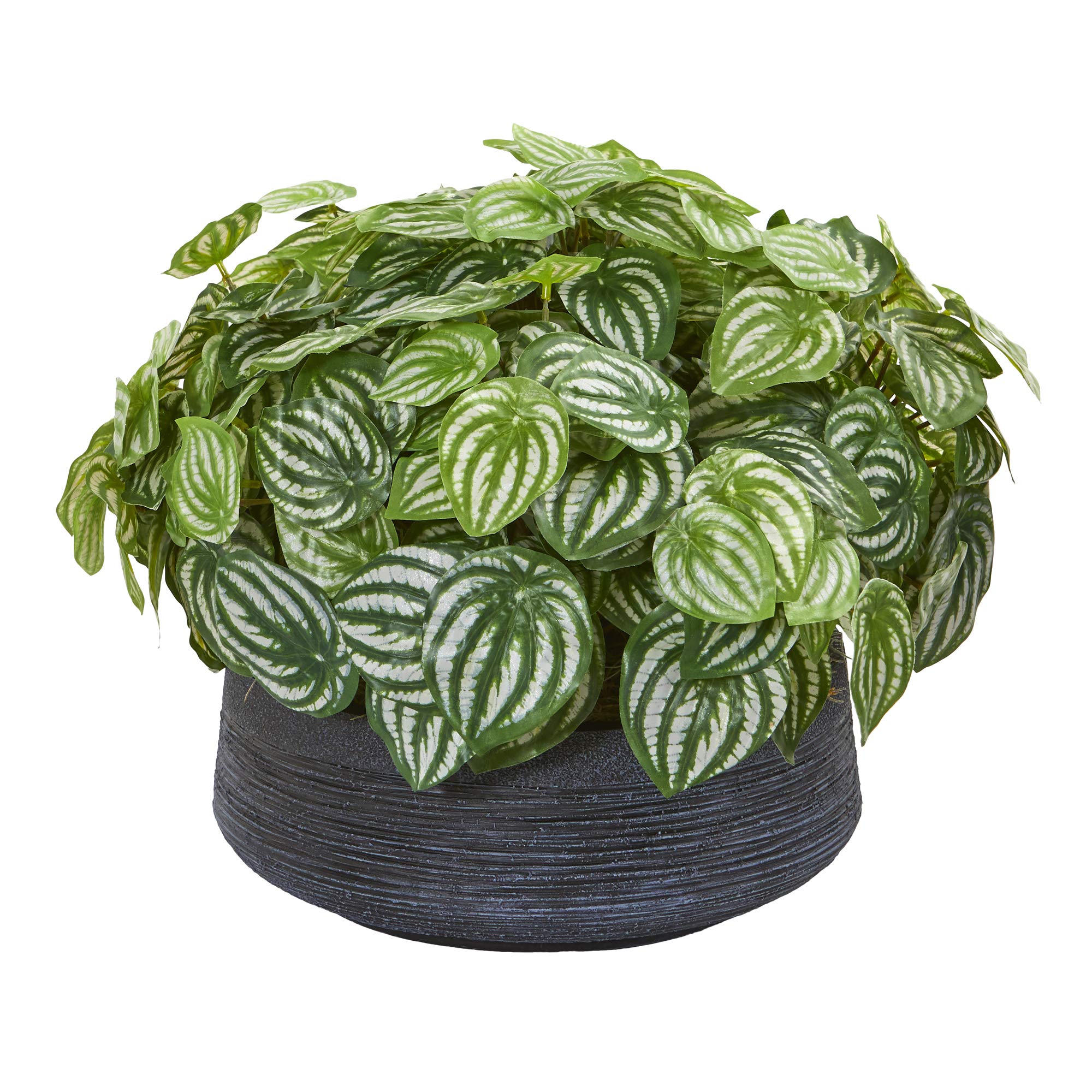 Nearly Natural 14 Inch Real Touch Watermelon Peperomia Artificial Silk Plant in Decorative Bowl - Green Faux Plants for Home Decor, Office Desk, and Table Centerpiece