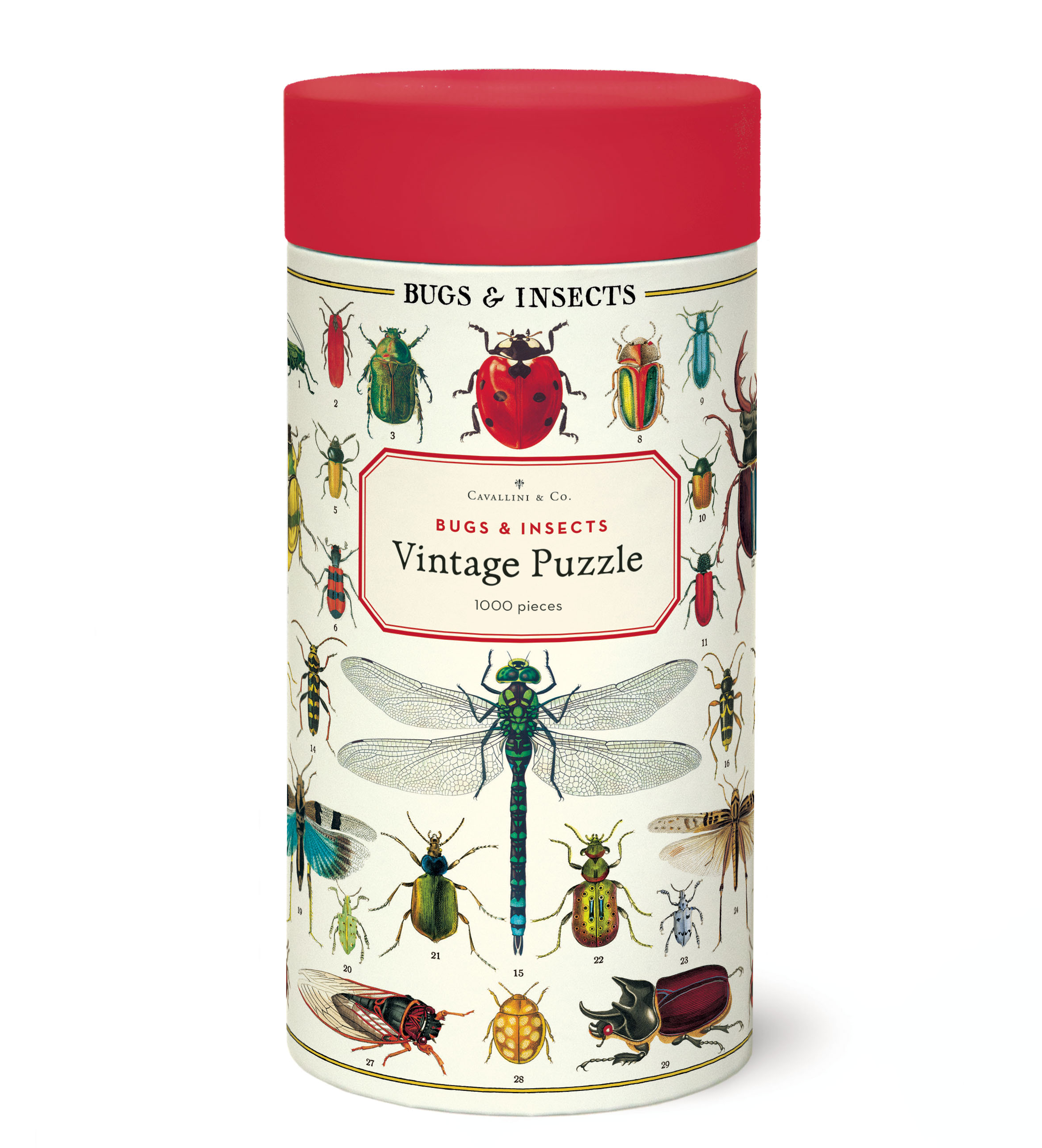 1,000 Piece Bug & Insect Jigsaw Puzzle - Educational Nature Themed Puzzle for Adults & Kids - Perfect for Family Game Night & Classroom Learning Activities