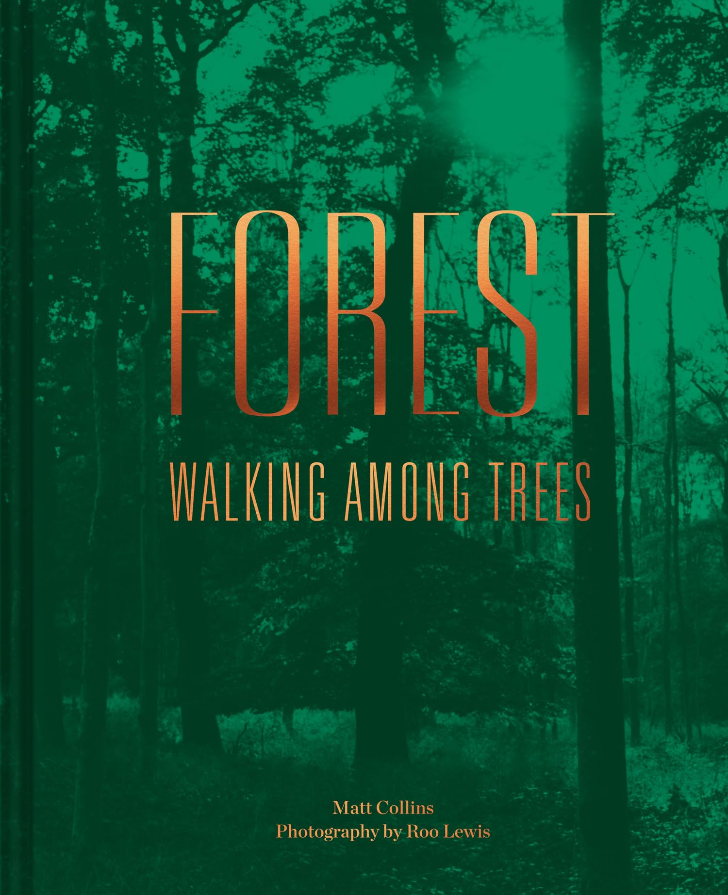 Forest Walk: Premium Hiking Shoes for Men & Women - Comfortable & Durable for Nature Trails, Camping & Outdoor Adventures