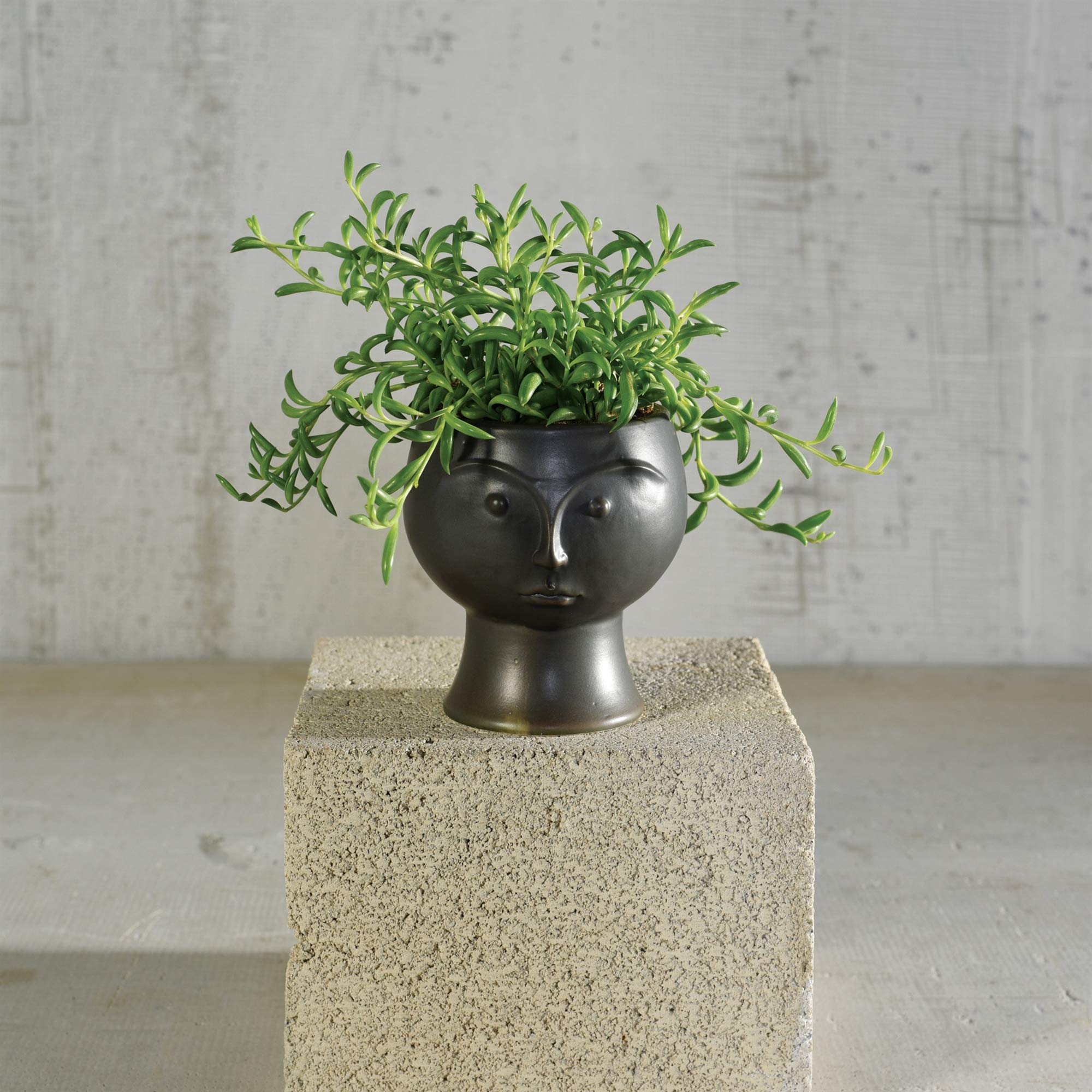 Rory Ceramic Face Vase - Matte Black | Modern Home Decor | Perfect for Living Room, Bedroom & Office Decor