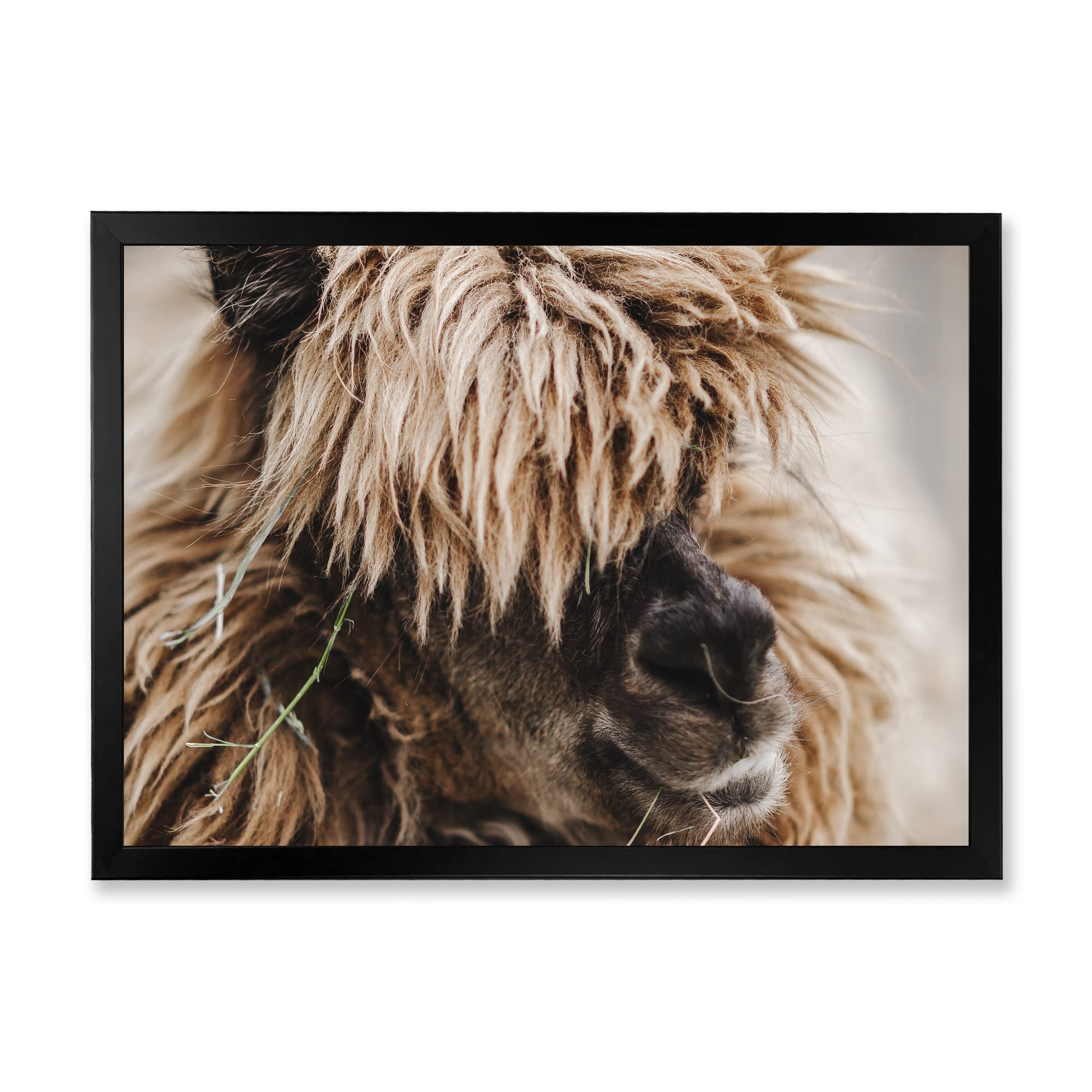 Fluffy Curly Alpaca Framed Wall Art - Handmade Farmhouse Decor for Living Room, Bedroom & Nursery - Cozy Animal Portrait Painting for Home & Office