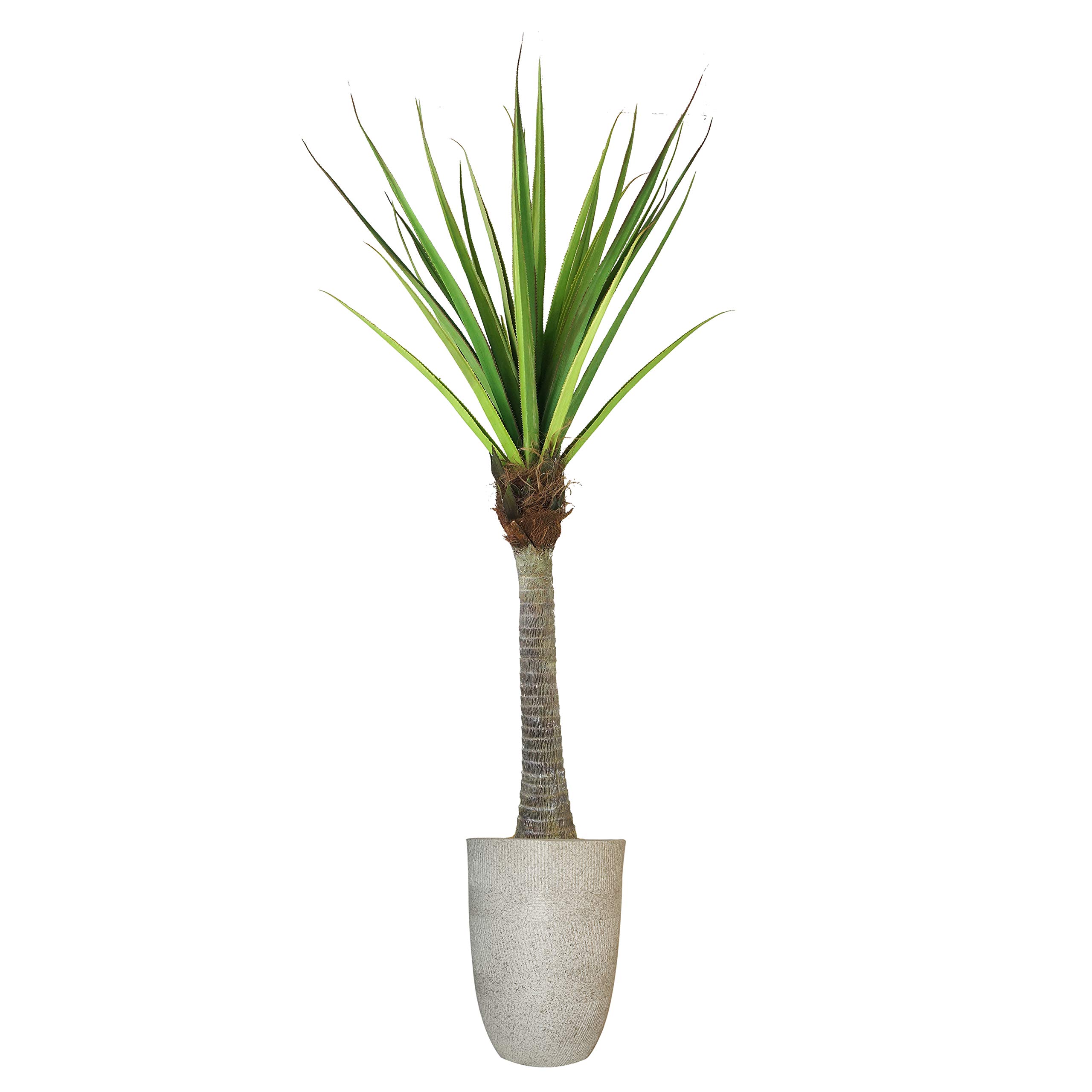 Vintage Green Emerald Artificial Faux Agave Plant in Fiberstone Planter - 72