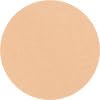22N light neutral