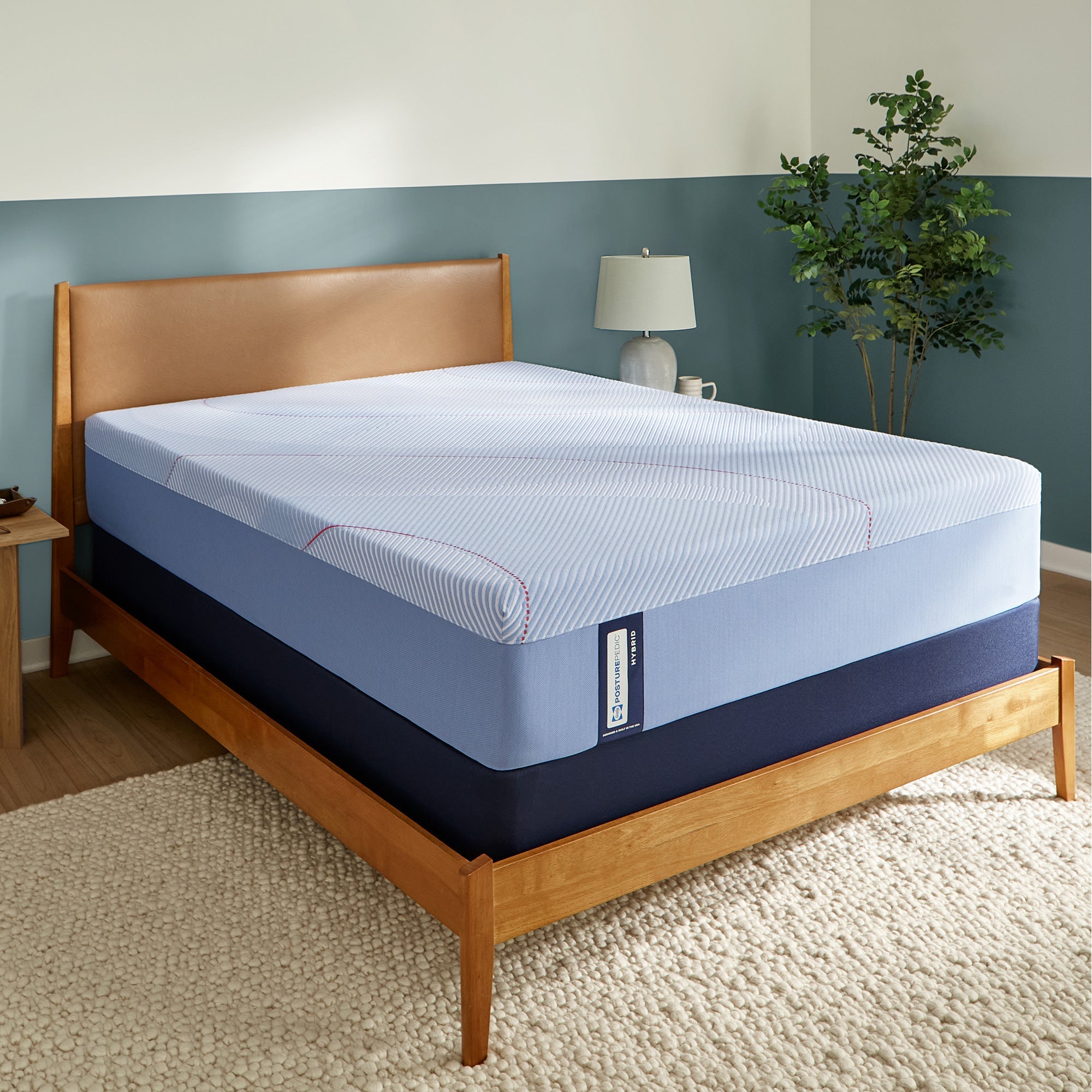 Sealy Posturepedic Dallas Firm Hybrid Mattress - Queen Size, Medium-Firm Support for Back Pain Relief - Perfect for Side, Back & Stomach Sleepers - Bedroom & Guest Room Essentials