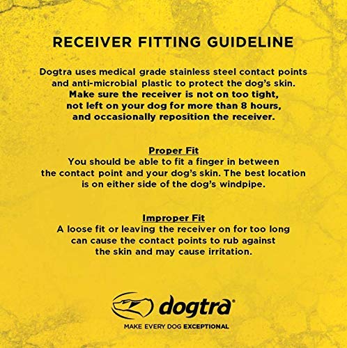 Waterproof Dogtra 202C Remote Training E-Collar - 1/2 Mile Range, One-Handed Operation for 2 Dogs | Includes Teacher's Pet Complete Kit with Clicker, Stainless Steel Lead & Hunting Dummy | Perfect for Obedience Training, Hunting & Outdoor Adventures