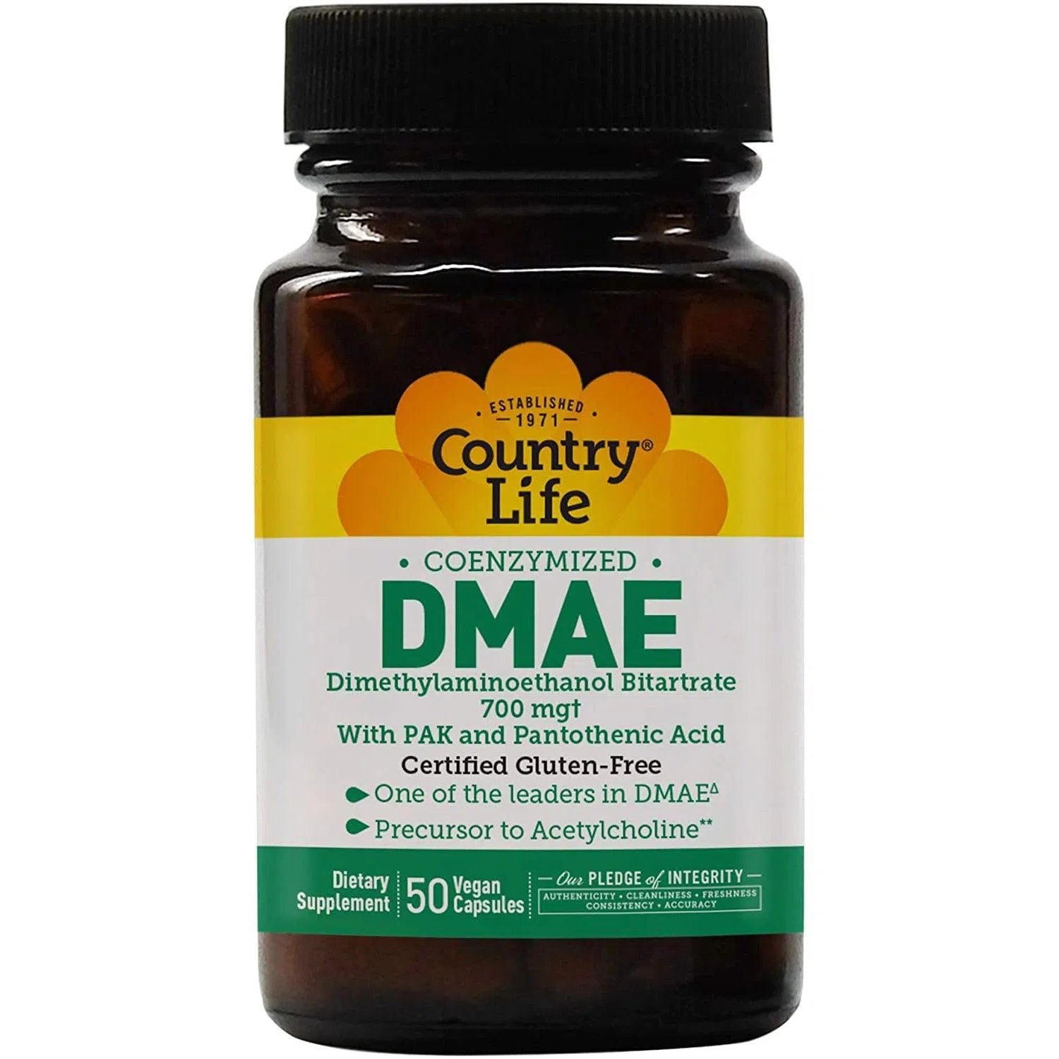 Country Life Coenzymized DMAE Supplement - Supports Brain Health, Memory & Focus - Vegan, Non-GMO - Ideal for Students, Professionals & Mental Clarity