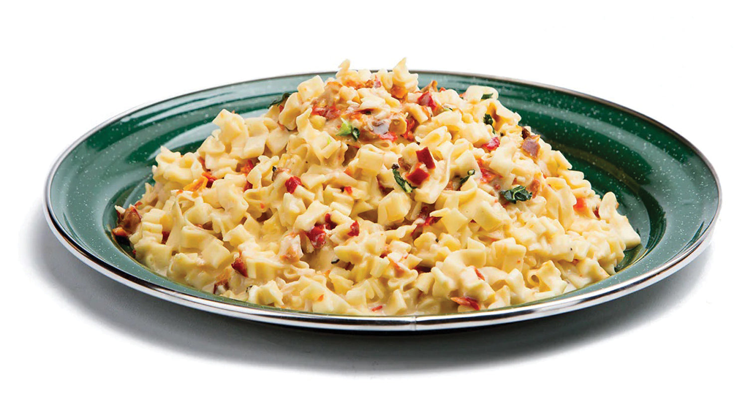Backpackers Pantry Fettuccini Alfredo with Chicken - Lightweight Freeze-Dried Backpacking Meal for Camping, Hiking & Emergency Preparedness