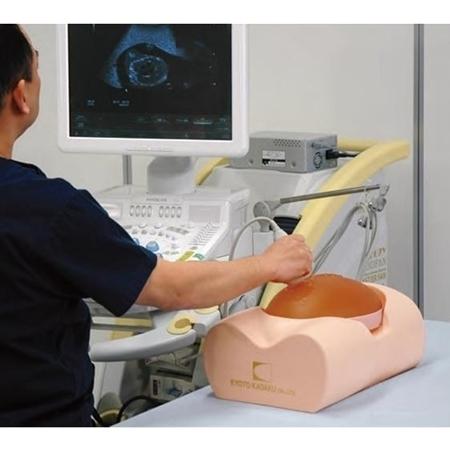 Fetal Ultrasound Training Phantom - High-Quality SPACE FAN ST Model for Medical Education & Diagnostic Practice | Perfect for OB/GYN Simulation & Sonography Training