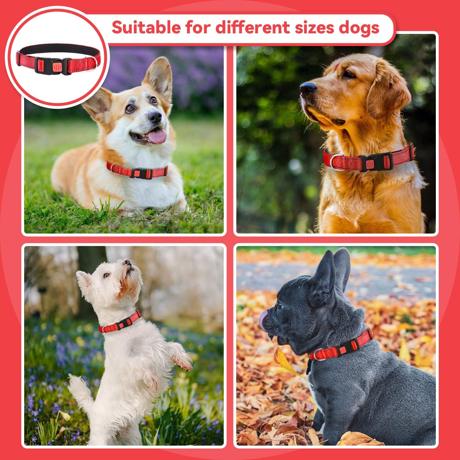 Reflective Adjustable Dog Collar with Quick Release Buckle - Ultra Soft Breathable Neoprene Pet Collar for Puppy, Small, Medium & Large Dogs | Perfect for Night Walks, Outdoor Adventures & Daily Use