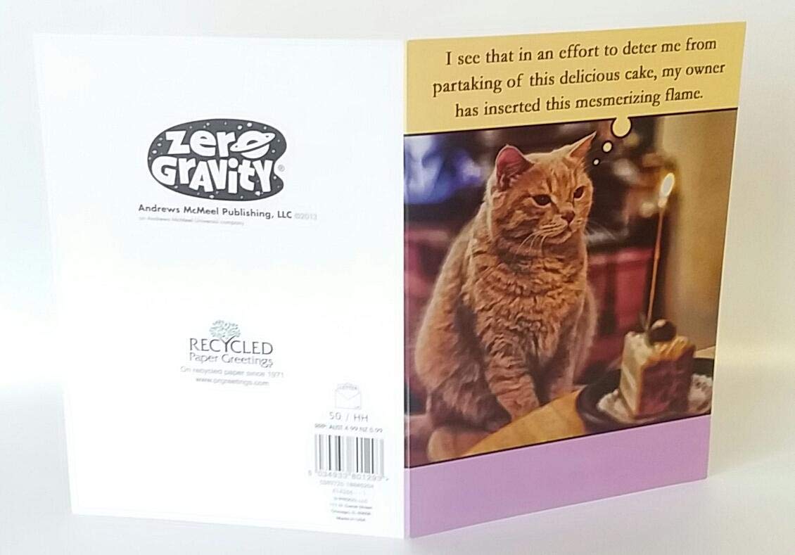 Funny Cat Birthday Cake Greeting Card - Perfect for Cat Lovers, Birthday Wishes & Humorous Celebrations