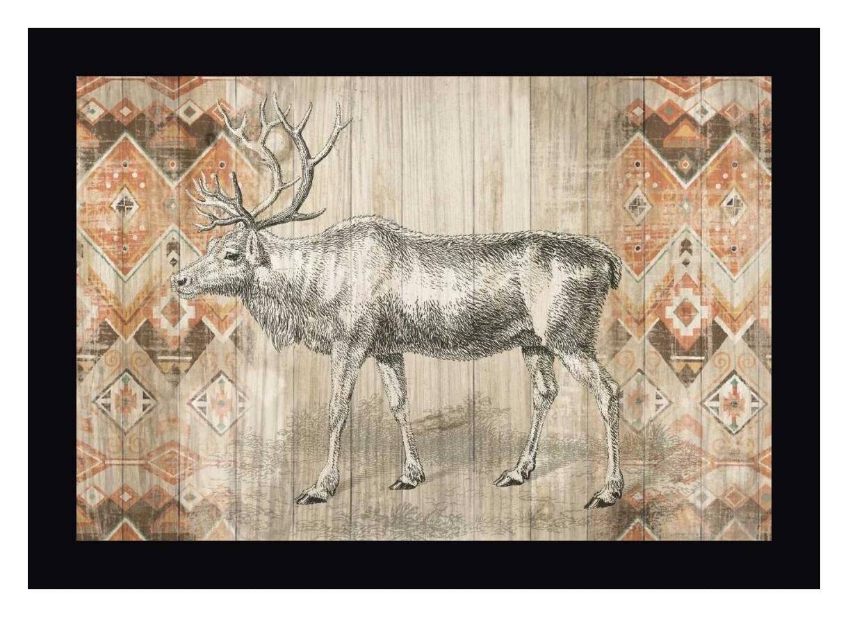 Wild Apple Portfolio Natural History Lodge Southwest IX Framed Canvas Art Print - 15x20 Inches - Black Wood Frame - Ready to Hang Wall Decor for Living Room, Bedroom & Office