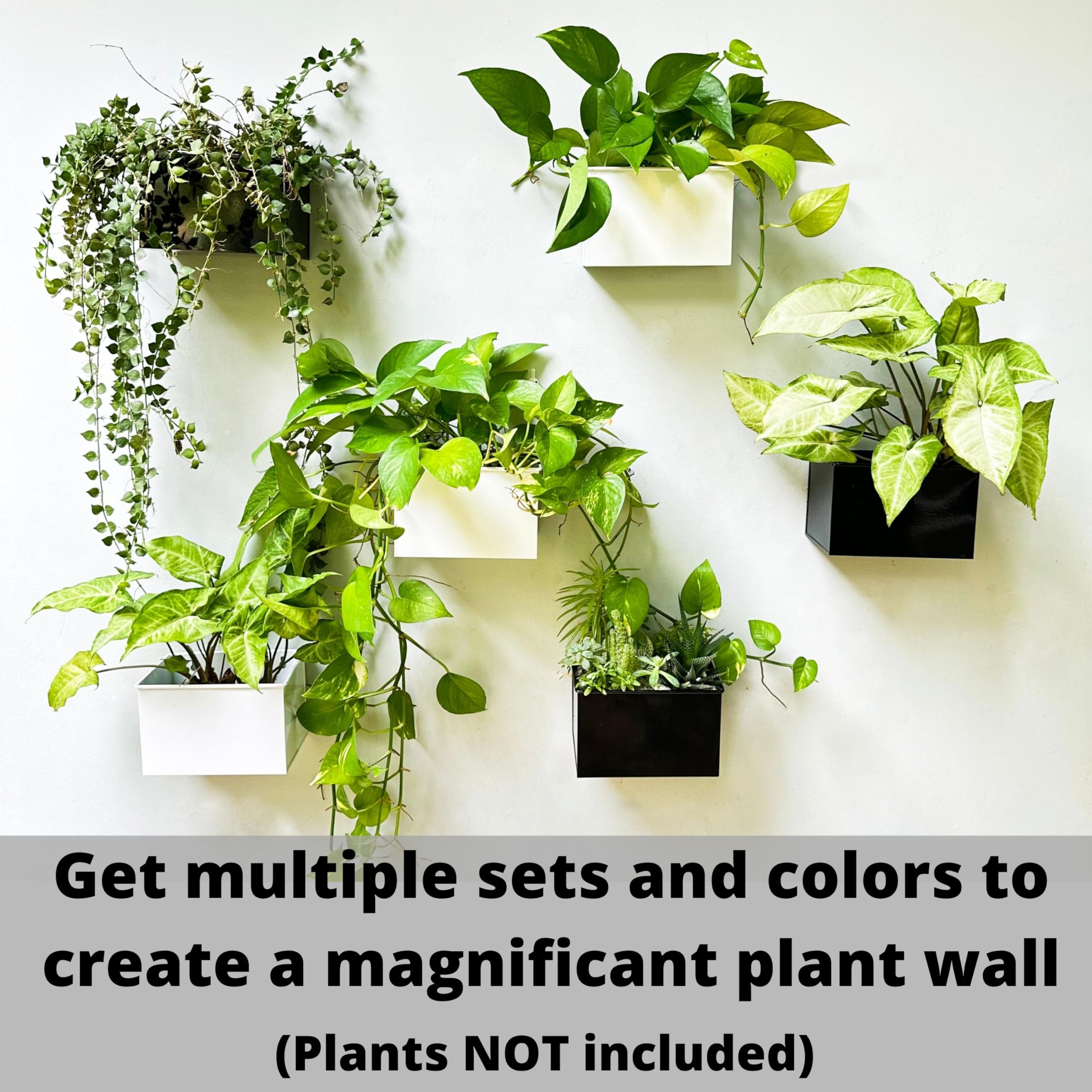 LaLaGreen 3 Pack 6 Inch Wall Planter - White Rectangular Metal Hanging Flower Pot for Succulents, Air Plants | Rustic Indoor Decor for Windows, Fences, Railings & Shelves | Perfect for Home, Office & Garden Decor