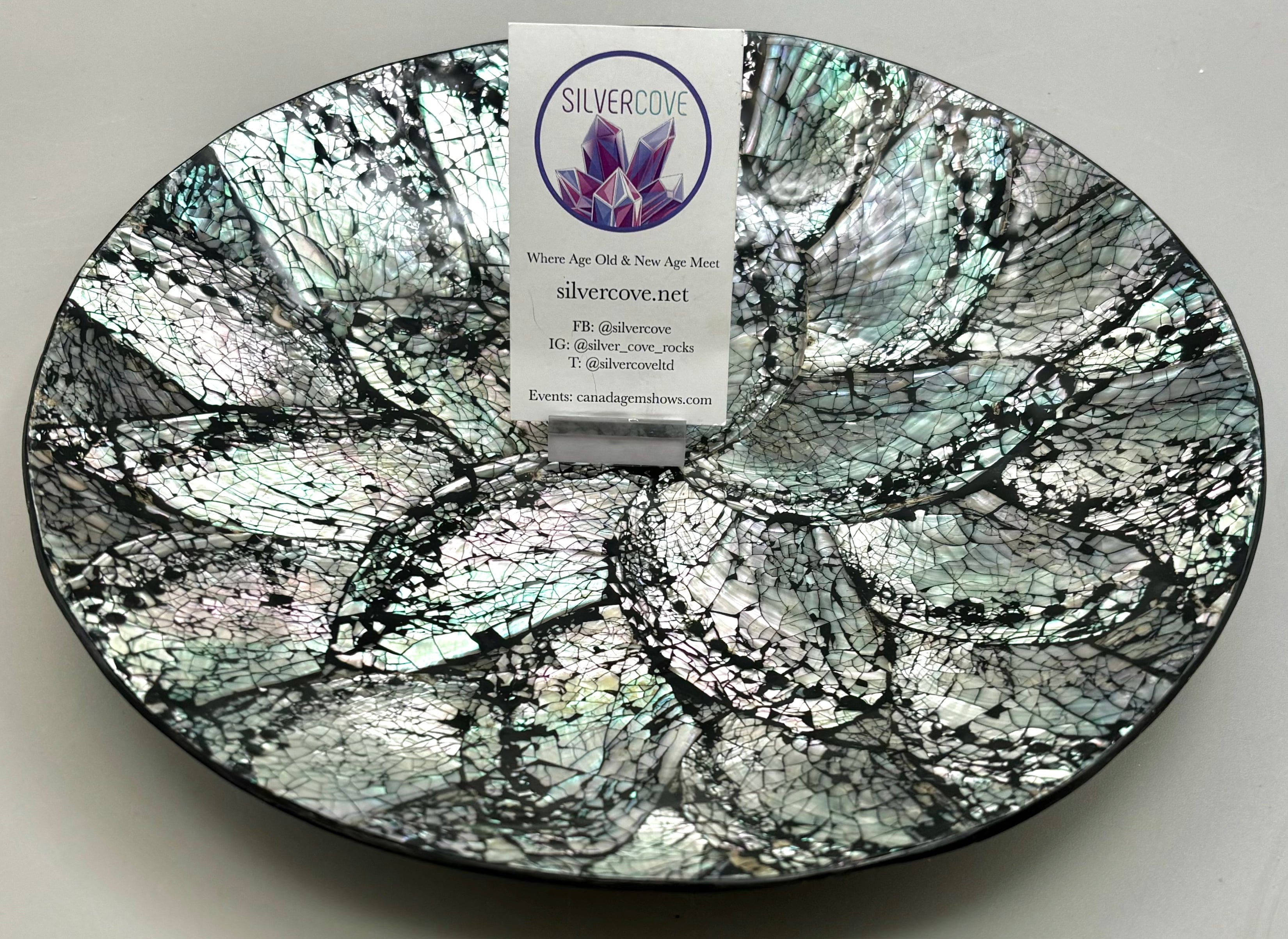 Premium Australian Abalone Shell Plate - Medium Size for Serving Sushi, Seafood & Appetizers | Eco-Friendly Natural Shell Dish for Restaurants, Parties & Home Decor