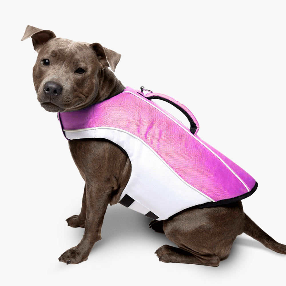 Dog Life Jacket for Swimming & Boating - Pink Safety Vest for Small Medium Large Dogs - Waterproof Buoyancy Aid for Pools, Lakes & Beach