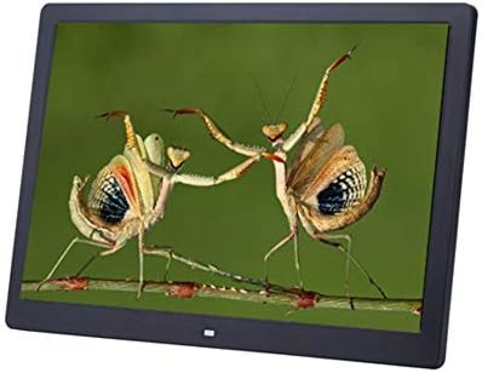 12-inch Widescreen HD Digital Photo Frame with Smart Advertising Display - Horizontal & Vertical Screen Electronic Photo Album - Multi-Function Support (Black) - Perfect for Home, Office & Retail Digital Signage