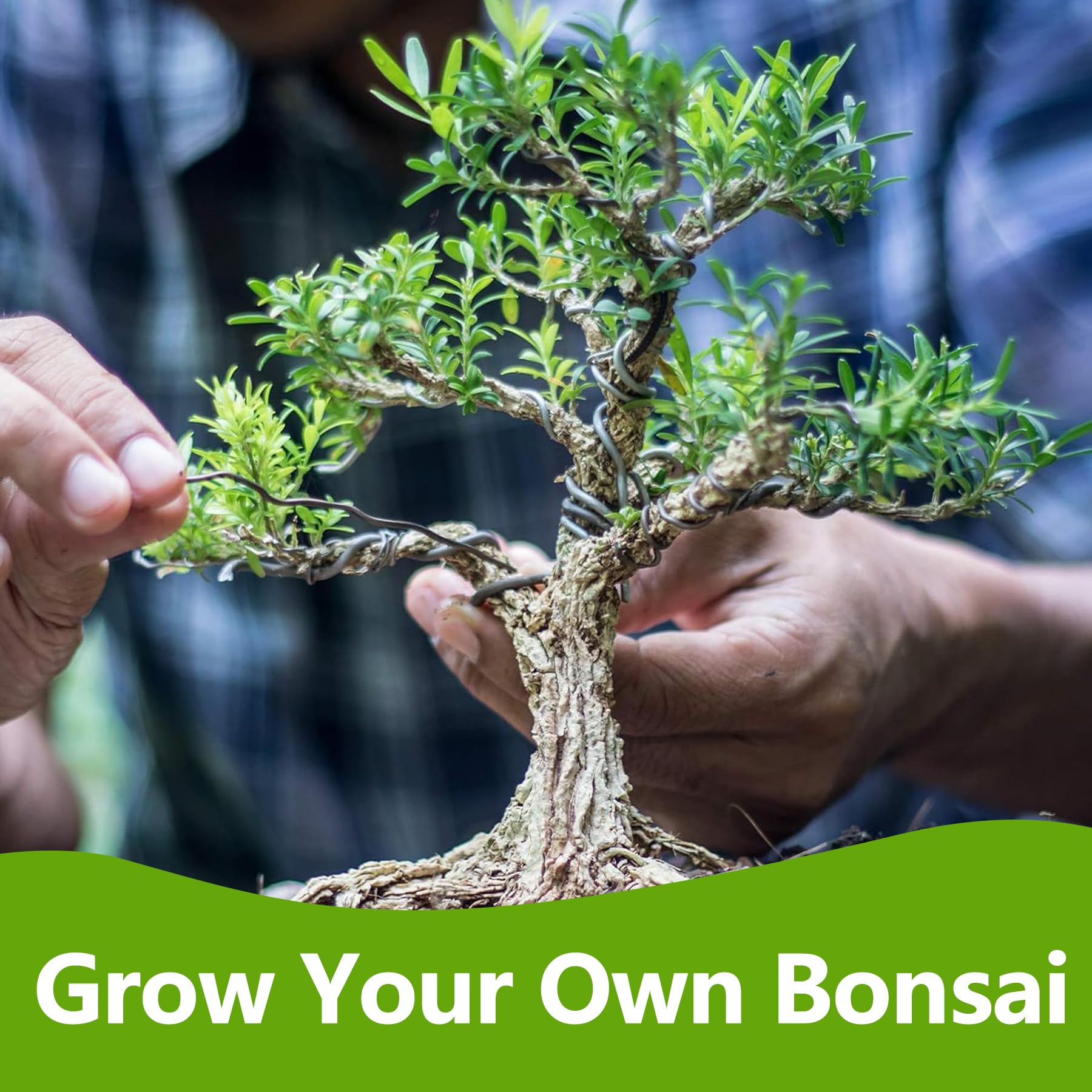 Complete Bonsai Tree Starter Kit with 4 Seed Varieties, Tools & Planters - Indoor Live Plants for Gardening Enthusiasts | Perfect Gift for Women, Men, Mom, Dad & Plant Lovers | Unique Christmas Present for Home Decor, Office Zen Garden & Mindful Gardening Hobby