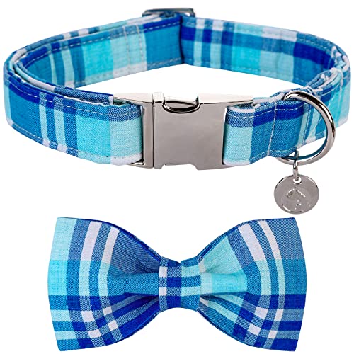 C: blue plaid