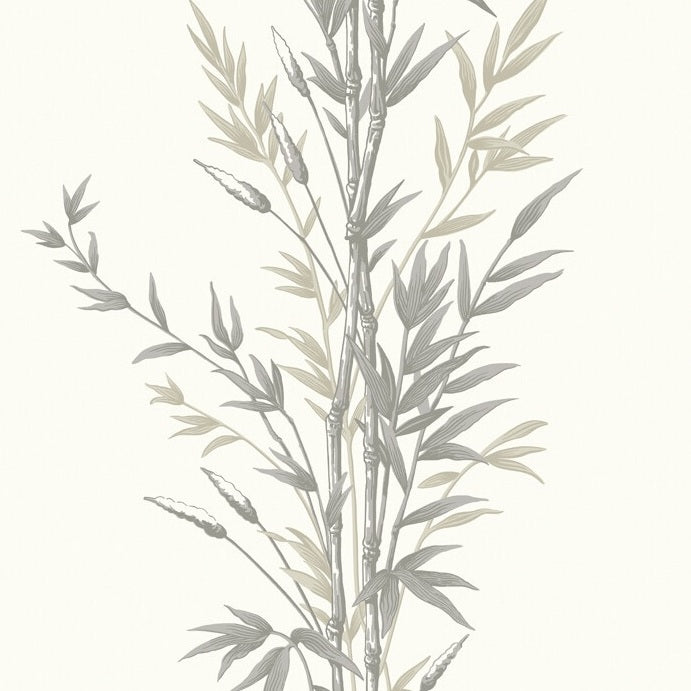 Cole and Son Bamboo Wallpaper - 100/5025 Design | Premium Peel and Stick Wallpaper for Living Room, Bedroom & Home Decor