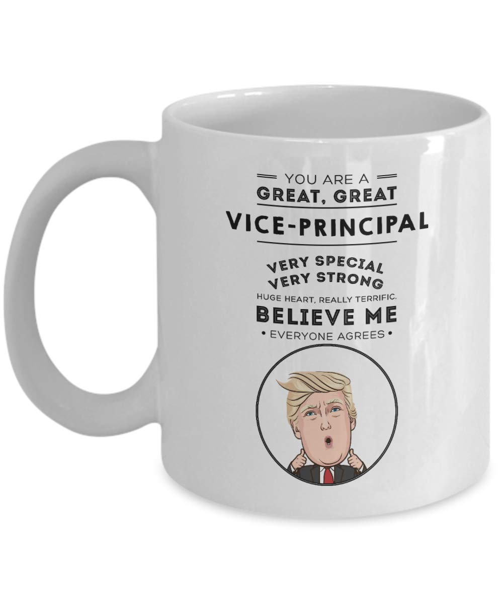 Funny Christmas Gifts & Unique Birthday Presents for Vice-Principals - Sarcastic Office Gifts for Friends & Colleagues | Perfect for School Administrators & Coworker Appreciation