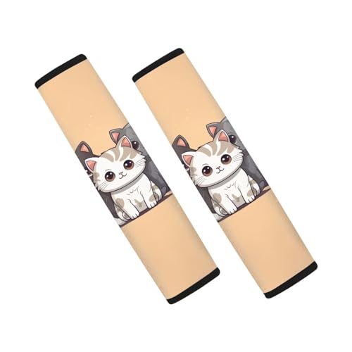 A Cat Cute