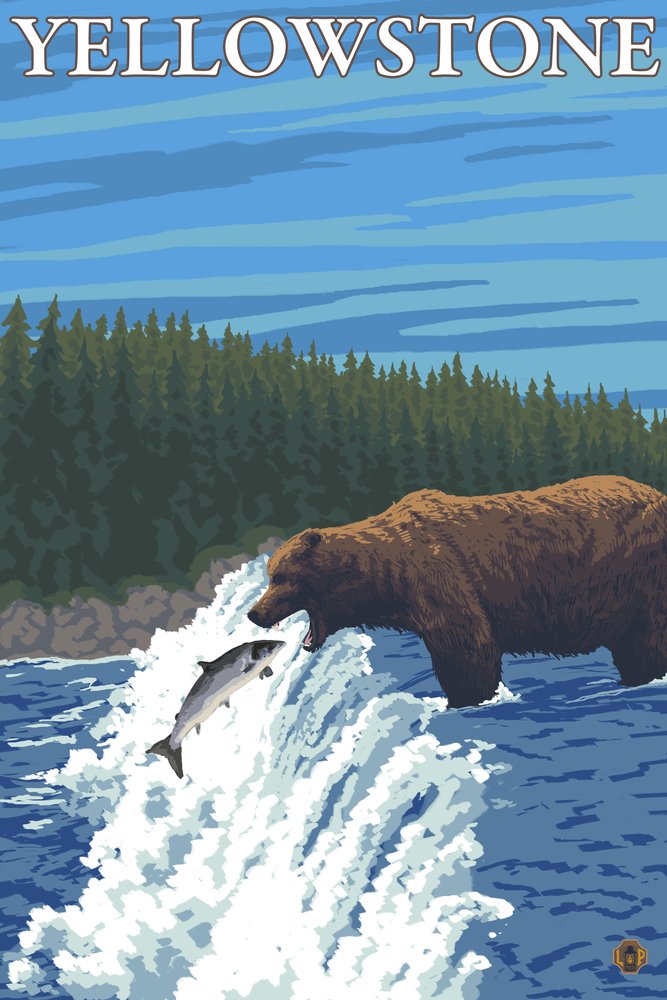 Bear Fishing in River - Yellowstone National Park Wall Art Poster (12x18 Inches) - Wildlife Nature Decor for Living Room, Office & Cabin