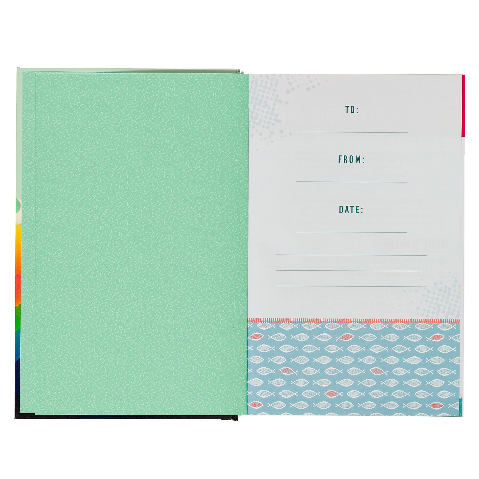 KJV Kids Bible - Colorful Hardcover for Ages 8-12 | Perfect Gift & Sunday School Study