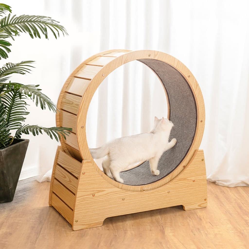 Grafken Solid Wood Cat Exercise Wheel - 75CM Large Treadmill Toy for Weight Loss, Multi-Functional Cat Shelf & Nest - Durable Anti-Scratch Design for Indoor Cats | Perfect for Small Apartments & Playtime