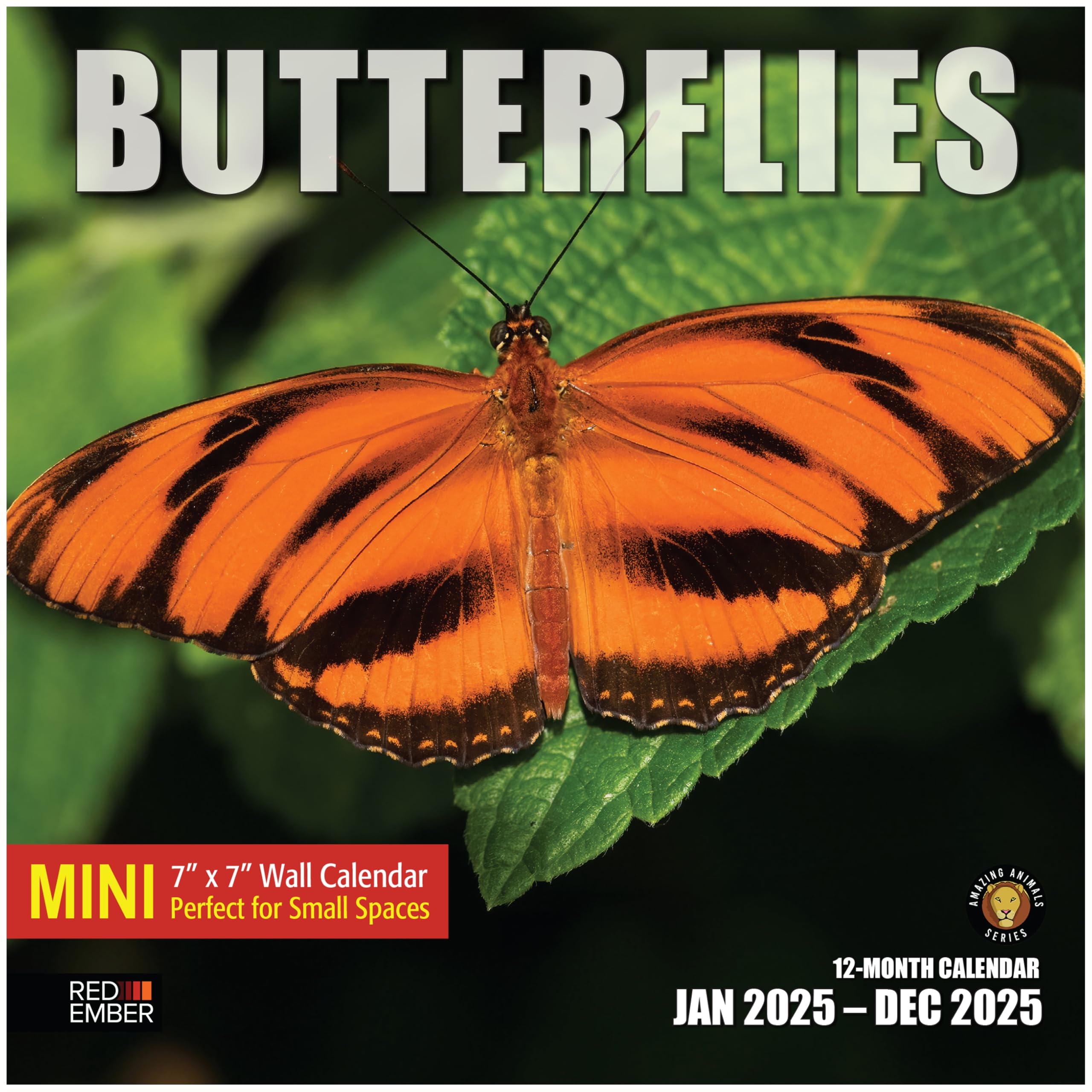 RED EMBER Butterflies Mini 2025 Wall Calendar - 12 Month 7