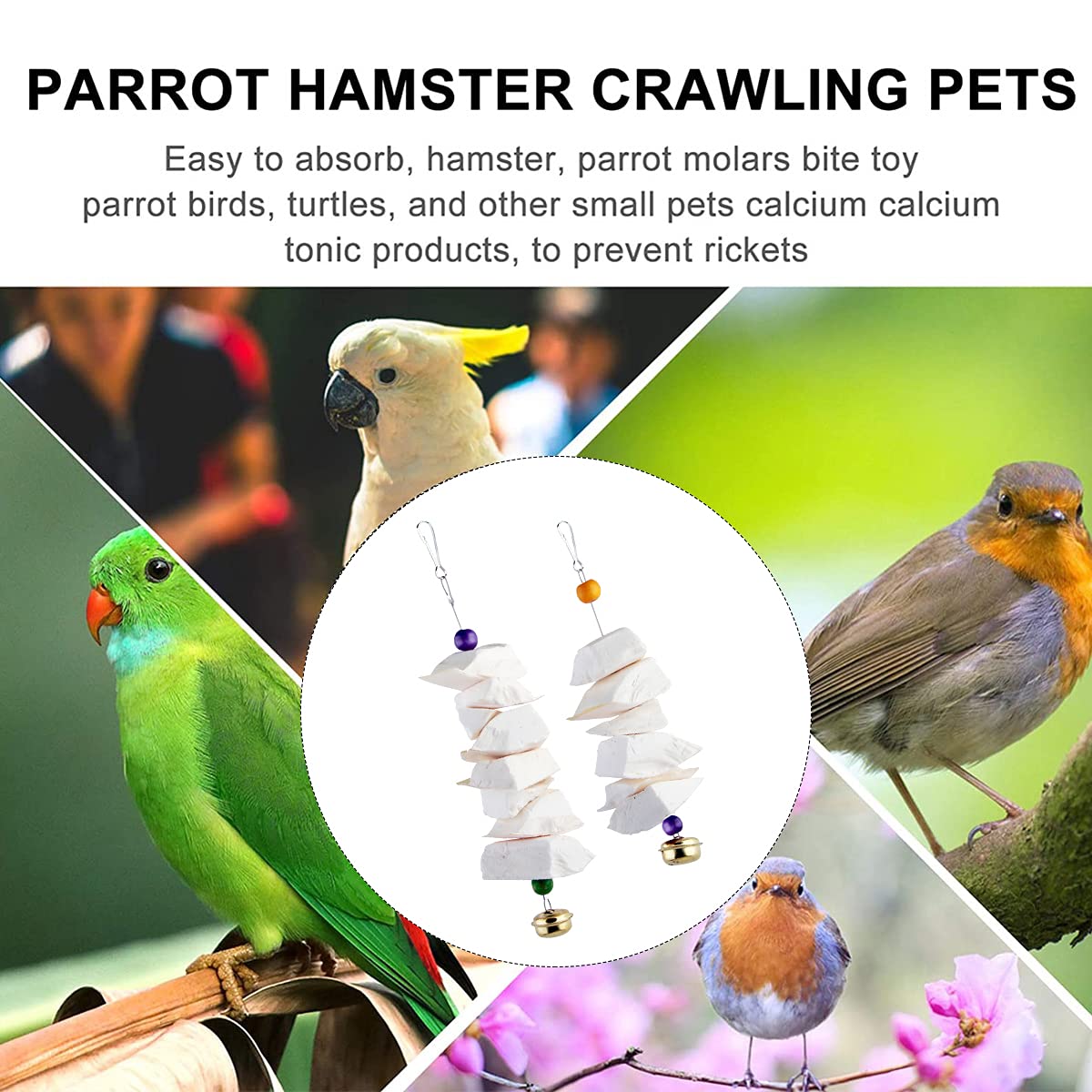 Cuttlefish Bone for Parrots - Natural Chewing Toy, Beak Grinding & Calcium Supplement - Bird Cage Accessories for Parakeets, Cockatiels & Small Birds (Set-A) - Perfect for Cage Enrichment & Healthy Beak Maintenance