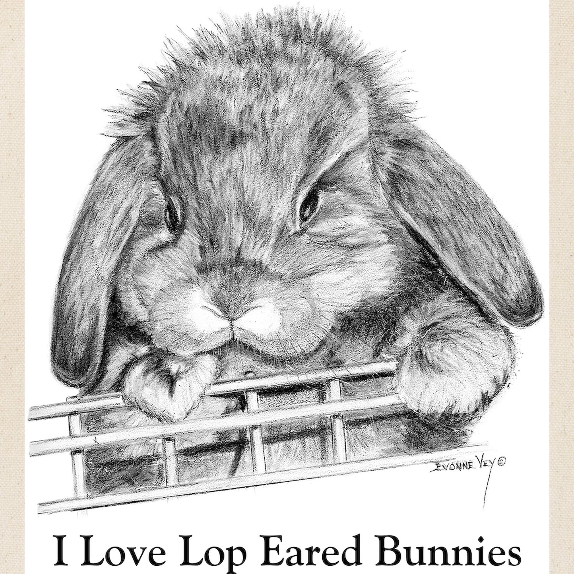 Lop Eared Bunny Canvas Tote Bag - Eco-Friendly Reusable Shopping Bag for Groceries, Beach & Daily Use | Cute Rabbit Design Natural Cotton Tote