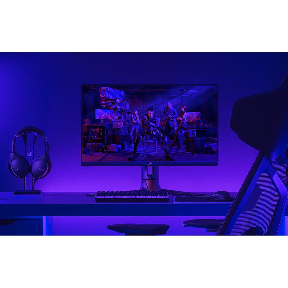 ASUS PG248QP 24