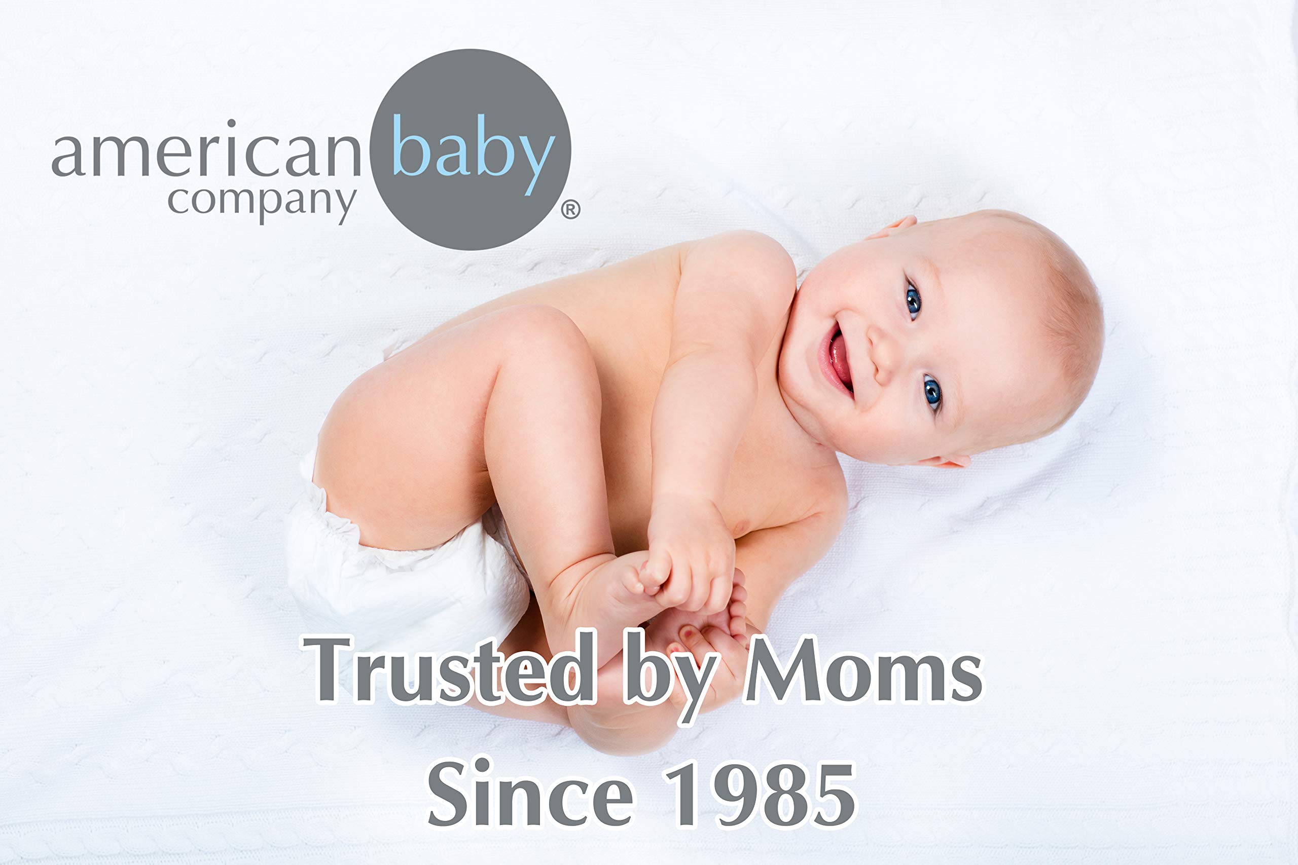 American Baby Company Heavenly Soft Chenille Blanket Set - 30