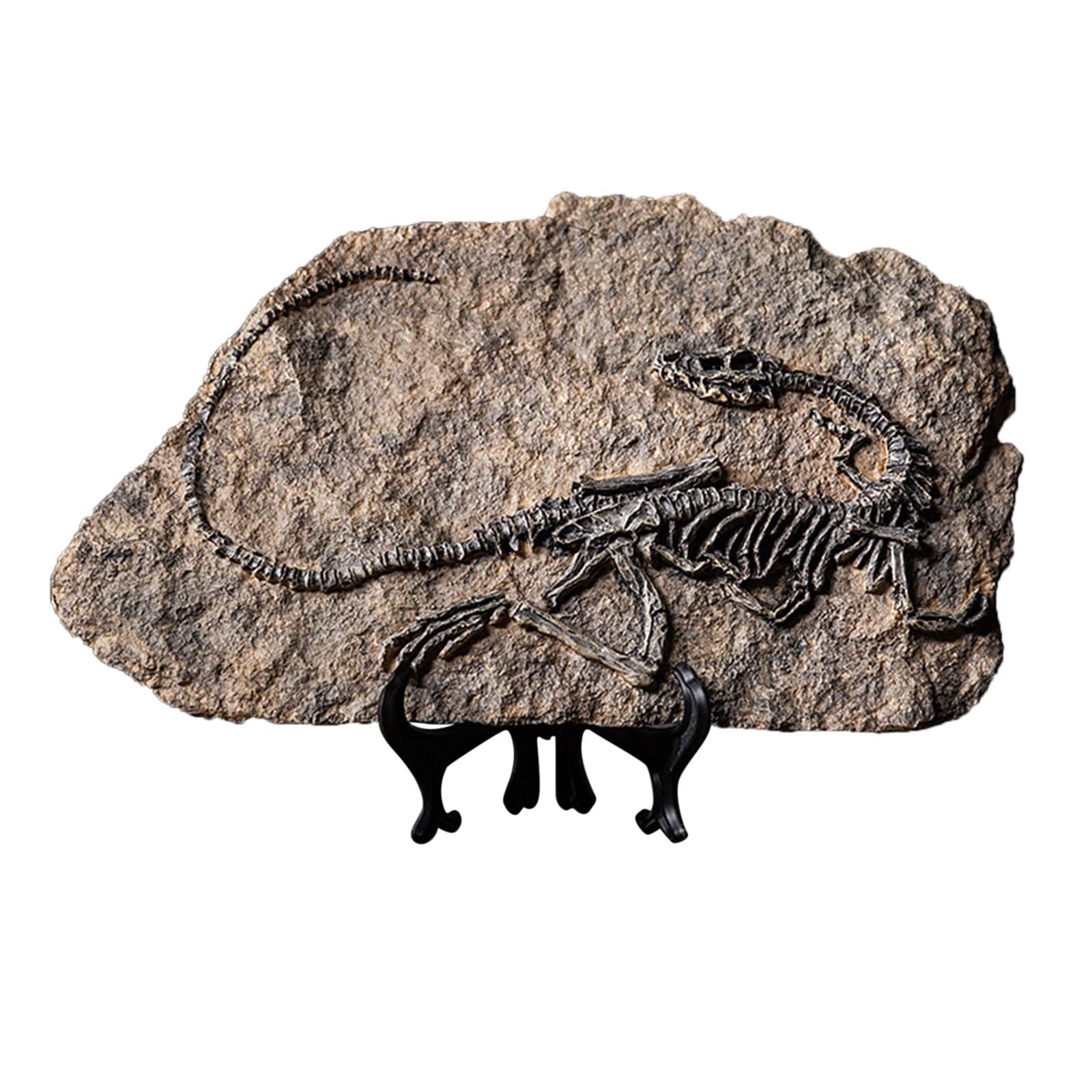 Dinosaur Fossil Decor - Handmade Resin Dinosaur Sculpture for Home, Office & Study Display - Realistic Texture Art Piece for Easter, Exhibitions & Gifts