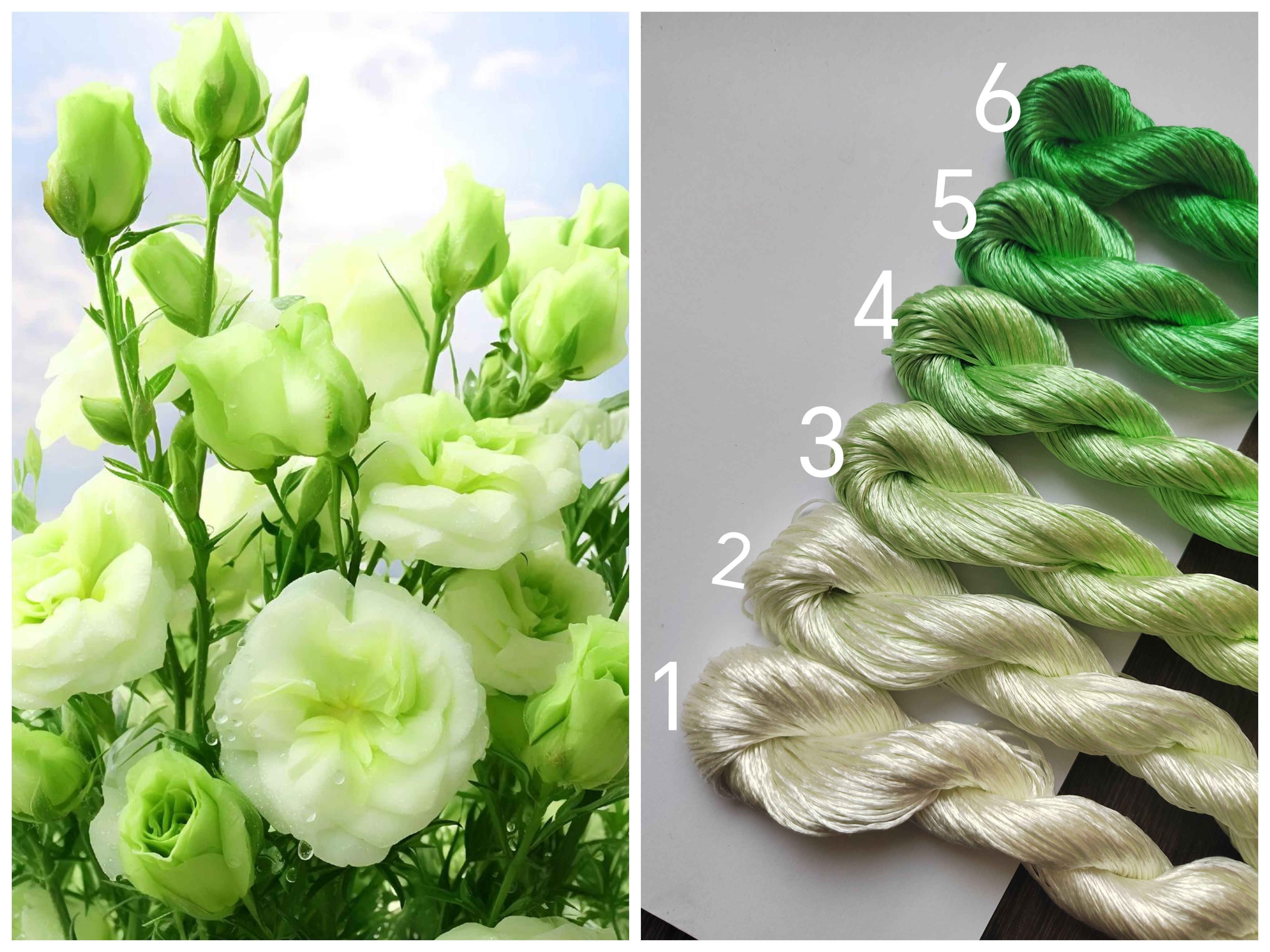 10g Suzhou Embroidery Thick Filament Slightly Twisted Mulberry Silk Thread - Green Color | Premium Hand Embroidery Thread for DIY Crafts, Sewing Projects & Traditional Chinese Embroidery Art