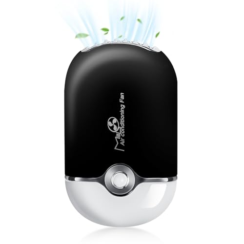 Black Lash Fan