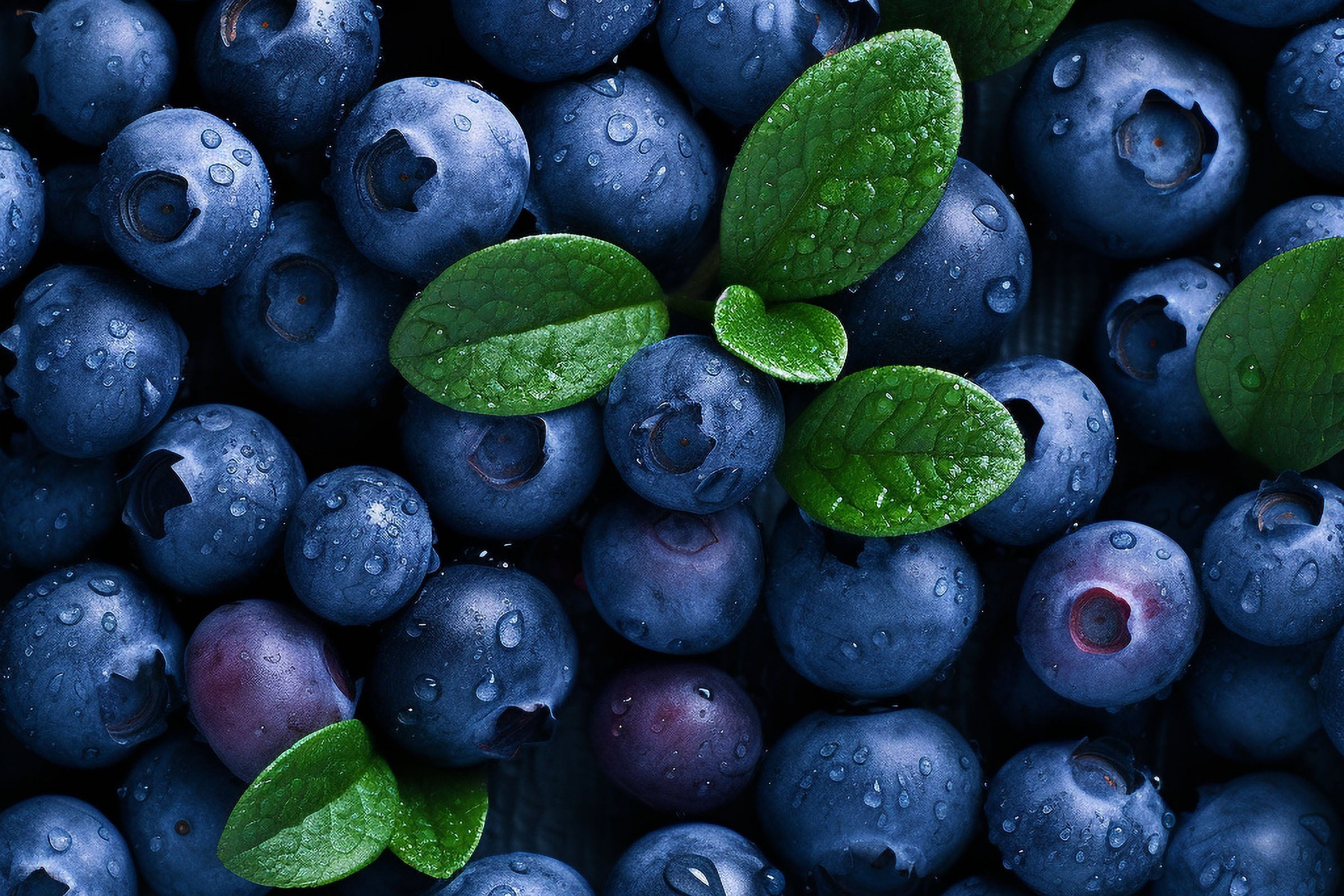 Premium Blueberry Fragrance Oil - 100% Natural, Long-Lasting Scent for Candles, Soaps & Diffusers - Perfect for Aromatherapy & Home Fragrance