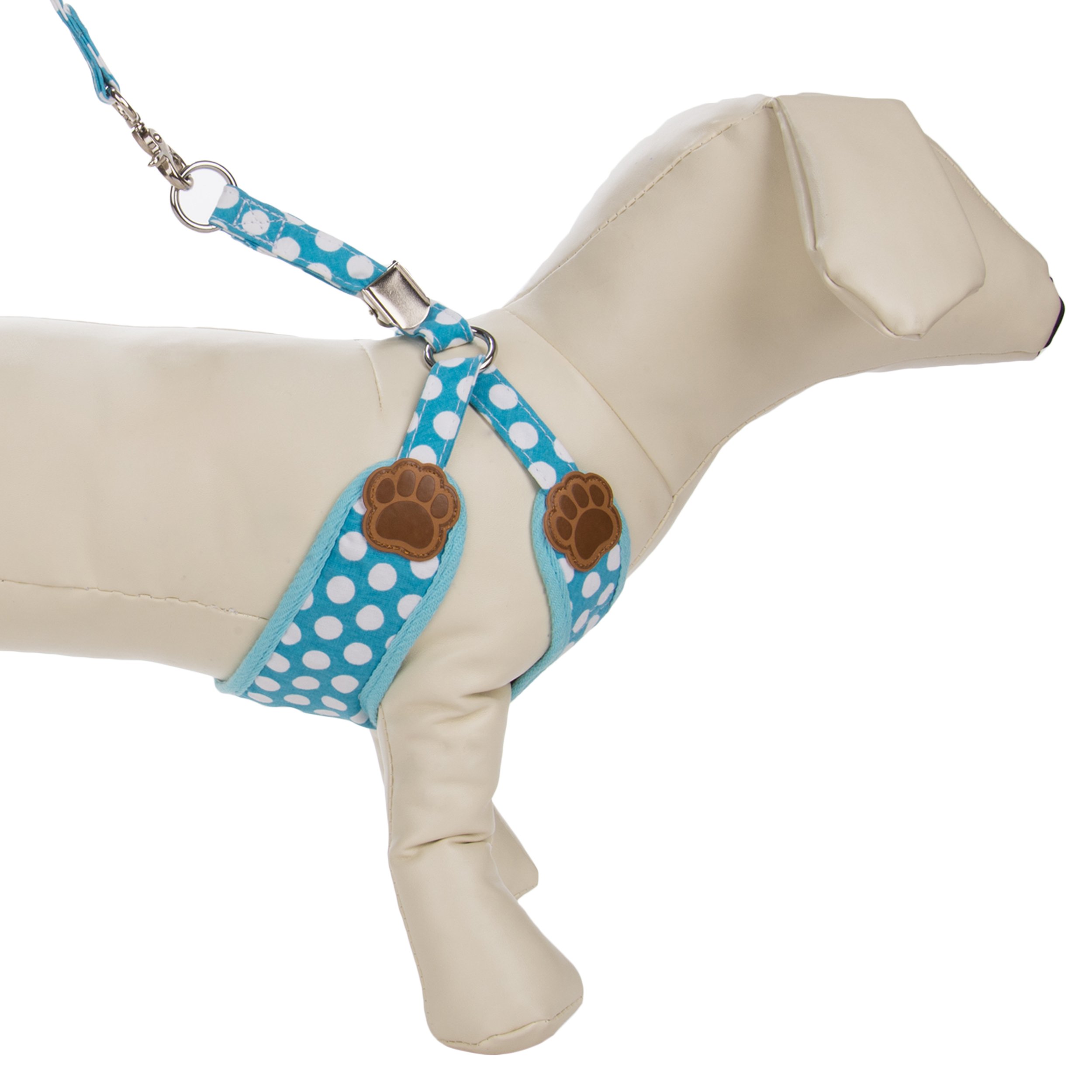 Soft Reflective Dog Harness and Leash Set for Small Dogs & Puppies - Adjustable Pet Vest for Walking, Training & Outdoor Safety