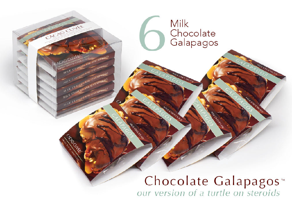 Delicious Chocolate Galapagos - 6-Piece Milk Chocolate Gift Box | Perfect for Holidays, Birthdays & Corporate Gifts