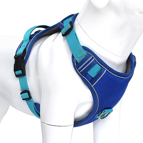 Blue(Sky Blue Straps)