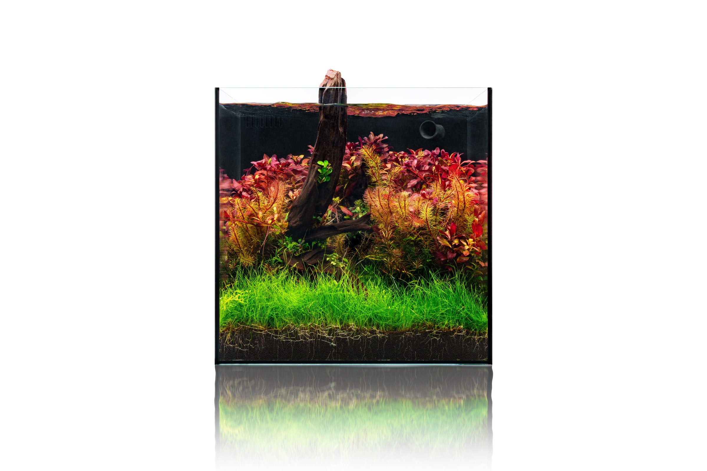Premium UNS Dual All-in-One Glass Aquarium Tank - 5 Gallon Nano Fish Tank with Built-in Filtration System - Perfect for Home, Office, or Classroom Aquascaping and Small Fish Keeping