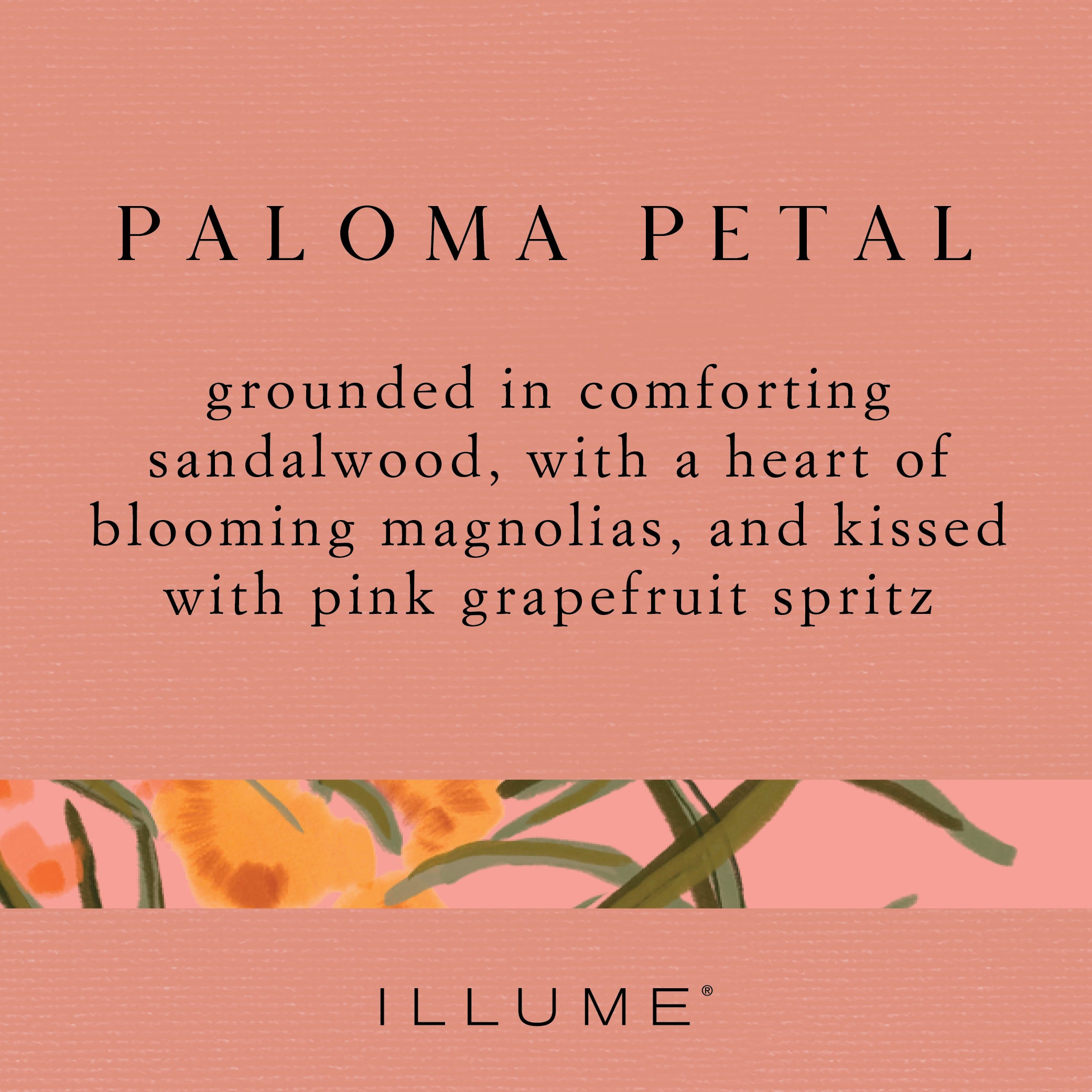 Paloma Petal Matte Ceramic Candle - Scented Soy Wax Candle for Home, Relaxation & Gifts | Aromatherapy, Meditation & Romantic Ambiance