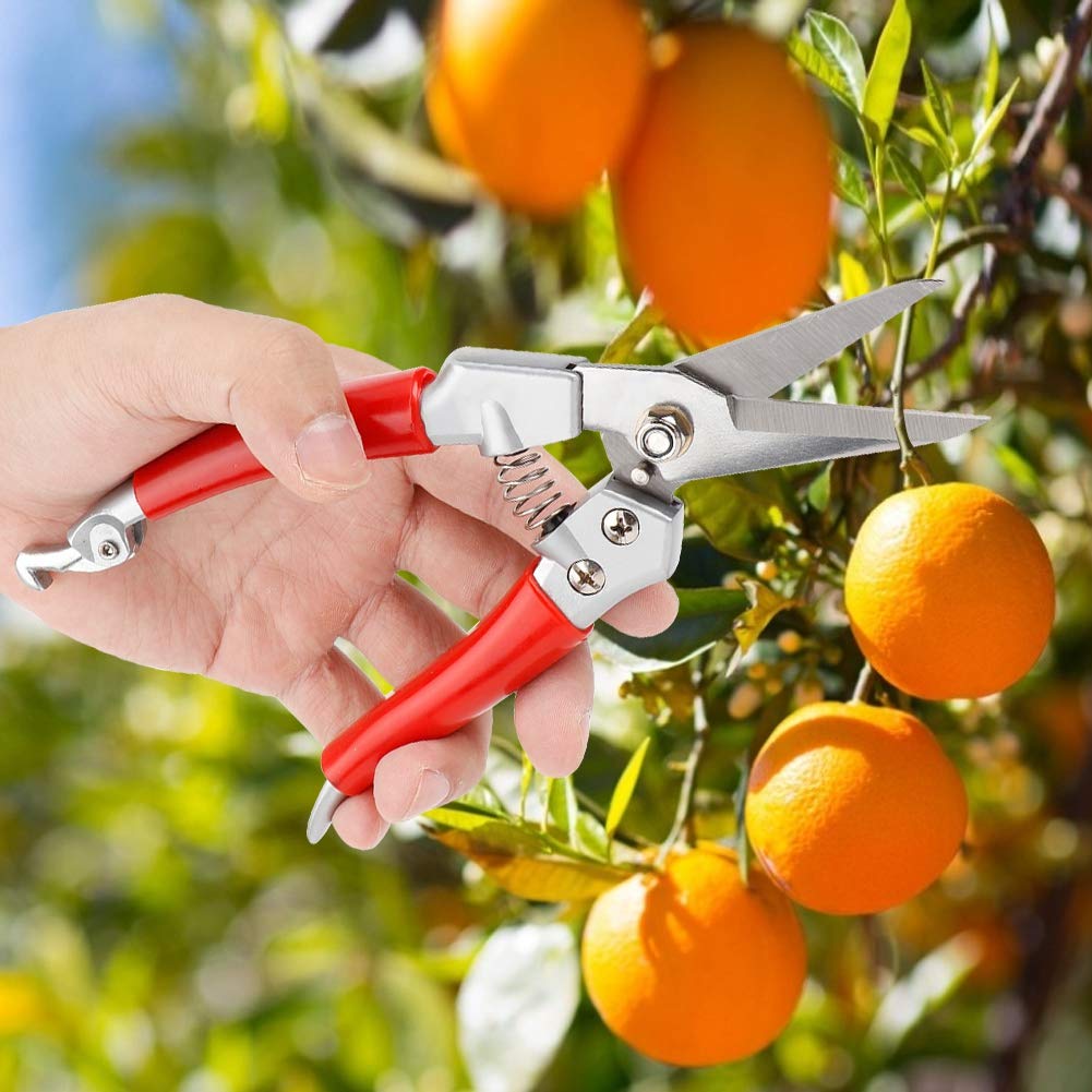 Premium Garden Pruners & Pruning Shears - Sharp Stainless Steel Blades, Ergonomic Red Handle for Comfort - Perfect for Trimming Plants, Shrubs, Flowers & Garden Maintenance (Ideal for Home Gardeners & Professional Landscapers)