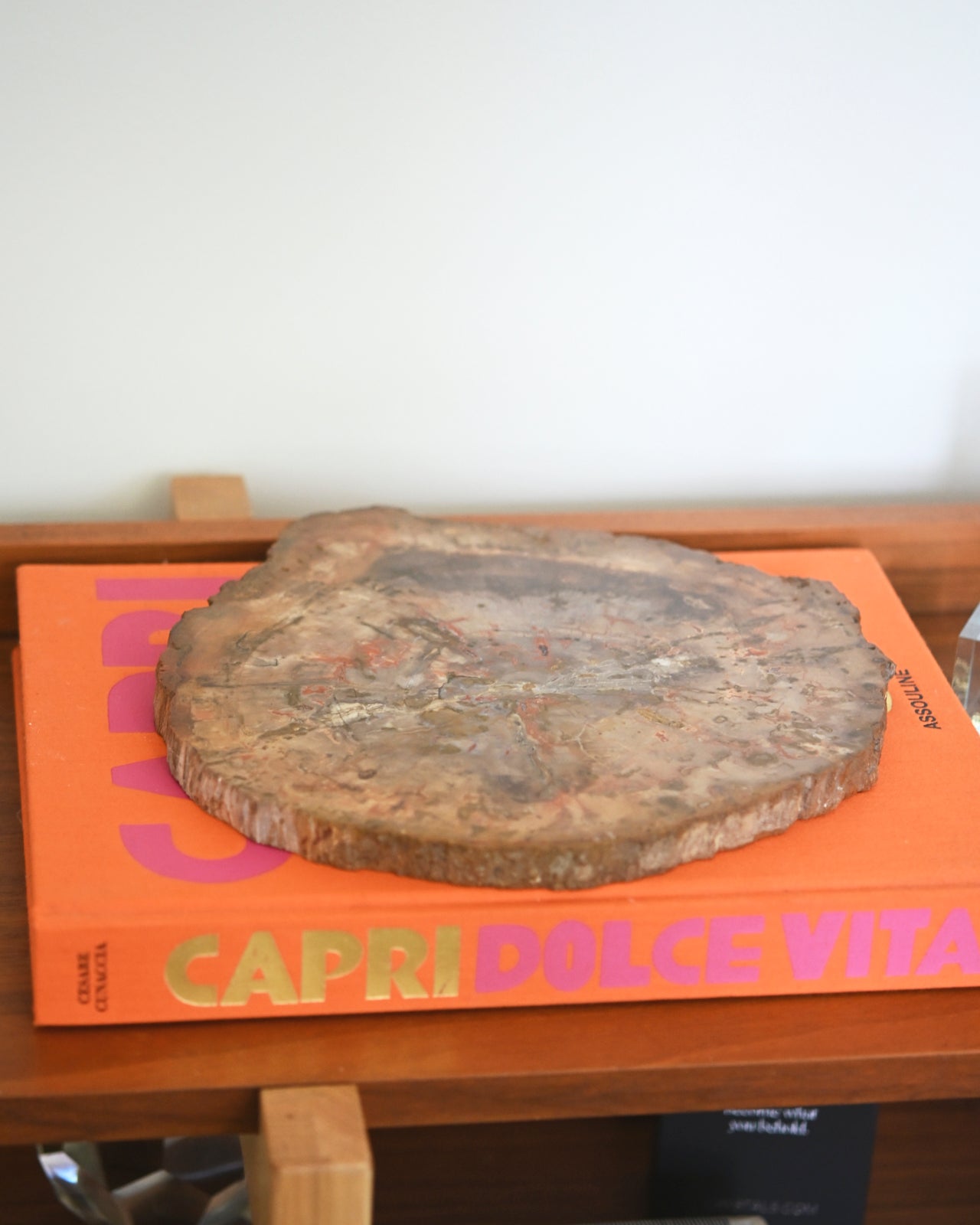 Natural Petrified Wood Slab - 5lbs Genuine Fossilized Wood for Home Decor, Jewelry Making & Collectibles | Perfect for DIY Crafts, Display & Gifts